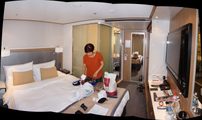 DSC05382_stitch copy.jpg