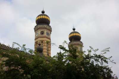 DSC05494.jpg