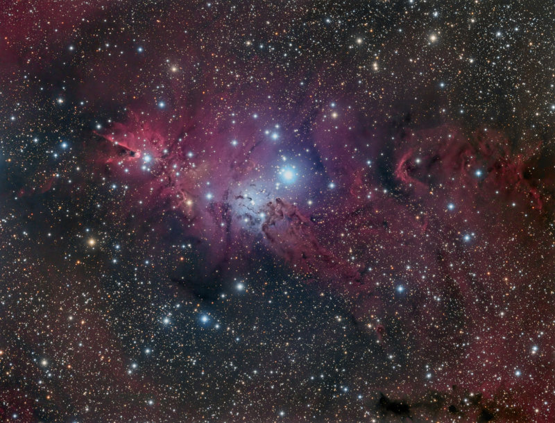 NGC 2264, Cone, Fox-Fur and Christmas Tree Nebulae