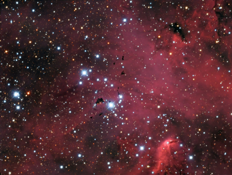 Thackerays Globules & Churchills Cigar in the Running Chicken Nebula / IC 2944 IC 2948 (Centaurus)