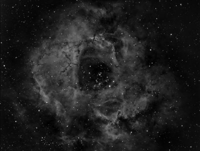 Rosette Nebula - First Light OS Veloce RH 200 and ASA DDM60 Pro