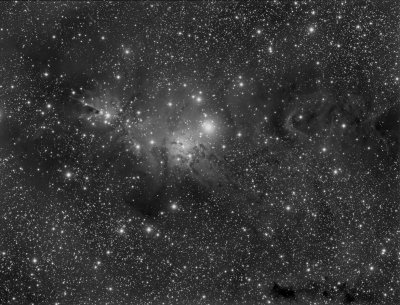 Cone and Christmas Tree Nebula 1570x1198 pixels.tif
