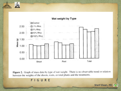 Scientific Writing.020.jpeg