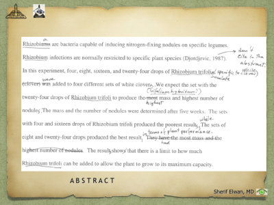 Scientific Writing.025.jpeg