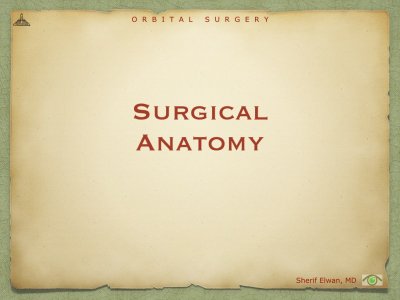 Orbital Surgery.002.jpeg