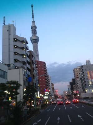 IMG_1647.JPG