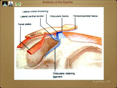 g9/27/938527/3/164831842.csOAPeTn.jpg