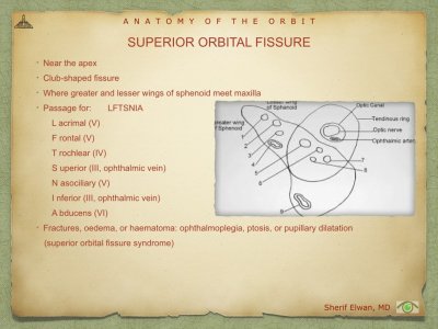 Anatomy of Orbit.027.jpeg