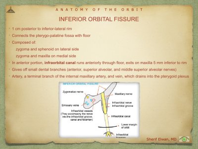 Anatomy of Orbit.029.jpeg