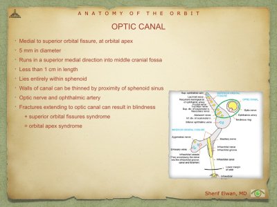 Anatomy of Orbit.030.jpeg