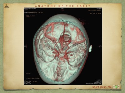 Anatomy of Orbit.054.jpeg