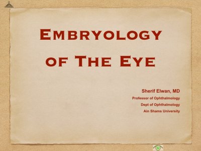 4.Ophth Embryology.001.jpeg