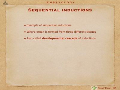 4.Ophth Embryology.003.jpeg