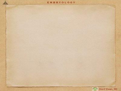 4.Ophth Embryology.015.jpeg