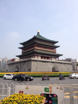 IMG_3376.PNG