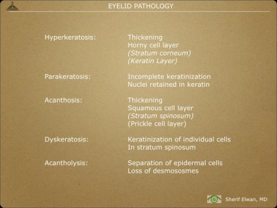 Pathology - Eyelids.004.jpeg