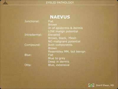 Pathology - Eyelids.017.jpeg