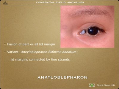 g9/27/938527/3/164840005.mqnsKtqC.jpg