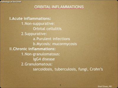 Pathology - Orbit.004.jpeg