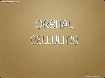 Pathology - Orbit.005.jpeg