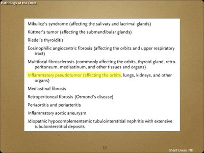 Pathology - Orbit.010.jpeg