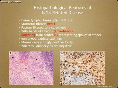 Pathology - Orbit.013.jpeg