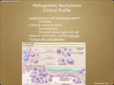Pathology - Orbit.015.jpeg