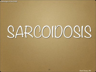Pathology - Orbit.019.jpeg