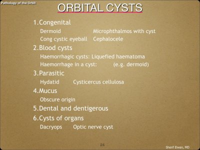 Pathology - Orbit.024.jpeg