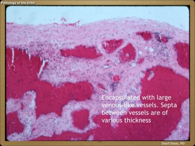 Pathology - Orbit.038.jpeg