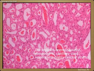 Pathology - Orbit.045.jpeg