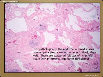 Pathology - Orbit.048.jpeg