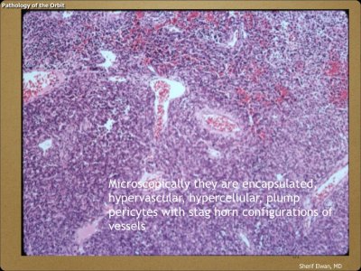 Pathology - Orbit.051.jpeg