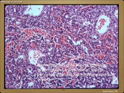 Pathology - Orbit.052.jpeg