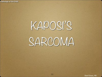 Pathology - Orbit.053.jpeg