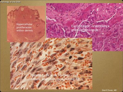 Pathology - Orbit.056.jpeg