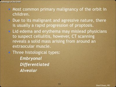 Pathology - Orbit.058.jpeg
