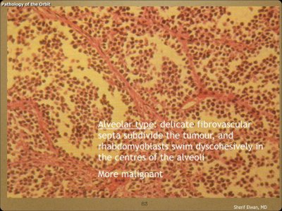Pathology - Orbit.063.jpeg