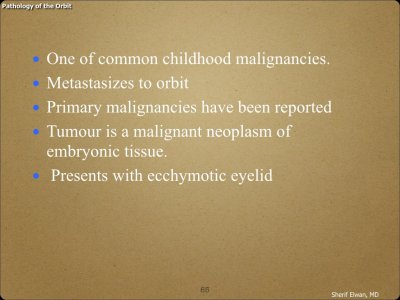 Pathology - Orbit.065.jpeg