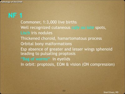Pathology - Orbit.069.jpeg