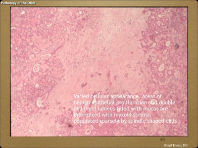 Pathology - Orbit.080.jpeg