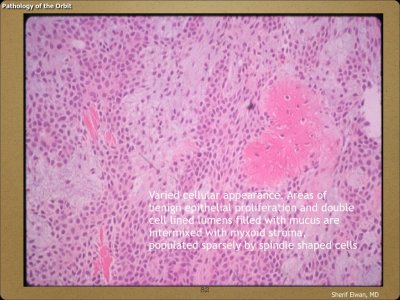 Pathology - Orbit.082.jpeg