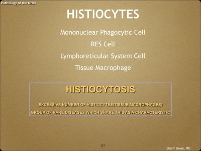 Pathology - Orbit.087.jpeg