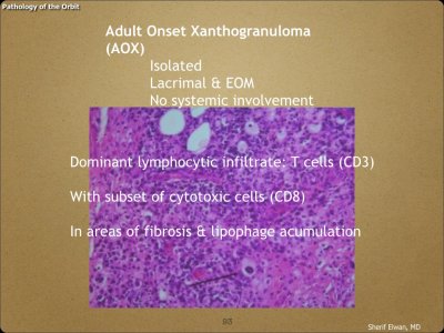 Pathology - Orbit.093.jpeg