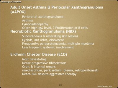Pathology - Orbit.095.jpeg