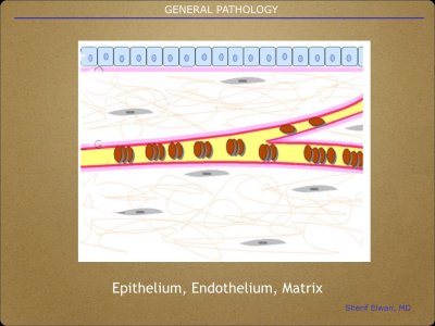 Pathology General.003.jpeg