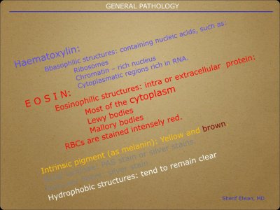 Pathology General.005.jpeg