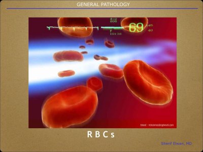 Pathology General.008.jpeg