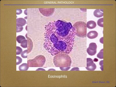 Pathology General.011.jpeg