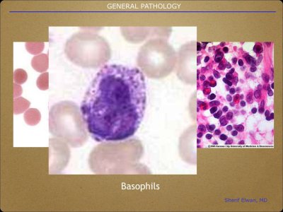 Pathology General.012.jpeg